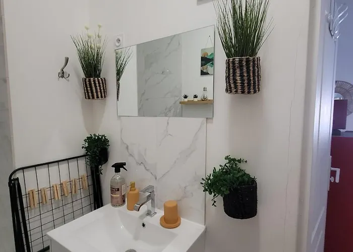 Le Plein Centre Rez De Chaussee Au Cœur De Calais