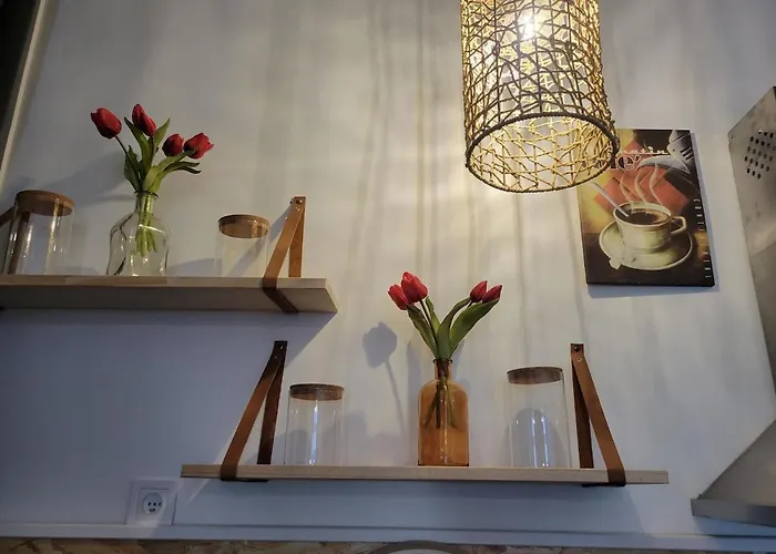 Le Plein Centre Rez De Chaussee Au Cœur De *