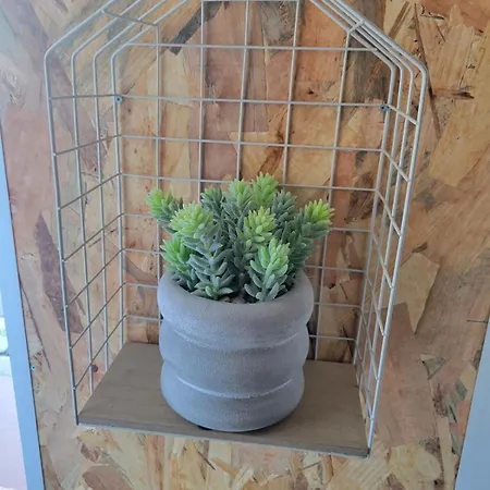 Le Plein Centre Rez De Chaussee Au Coeur De Appartamento