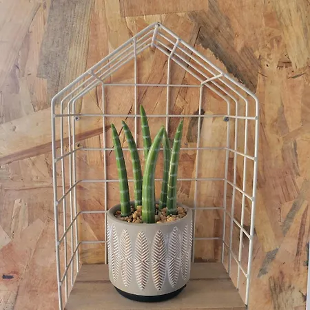 Le Plein Centre Rez De Chaussee Au Coeur De Calais