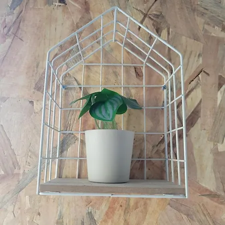 Le Plein Centre Rez De Chaussee Au Coeur De