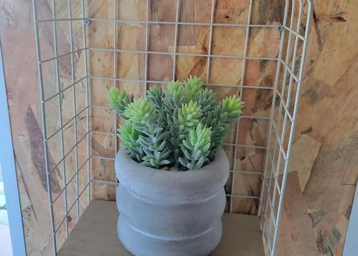 Le Plein Centre Rez De Chaussee Au Coeur De Appartement