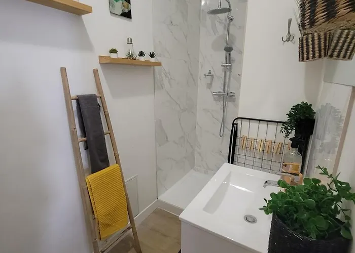 Appartement Le Plein Centre Rez De Chaussee Au Coeur De Calais