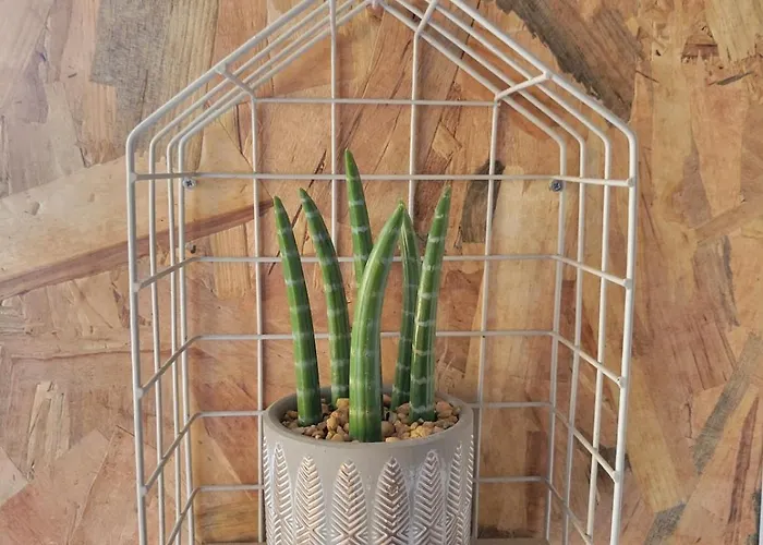 Le Plein Centre Rez De Chaussee Au Coeur De Calais