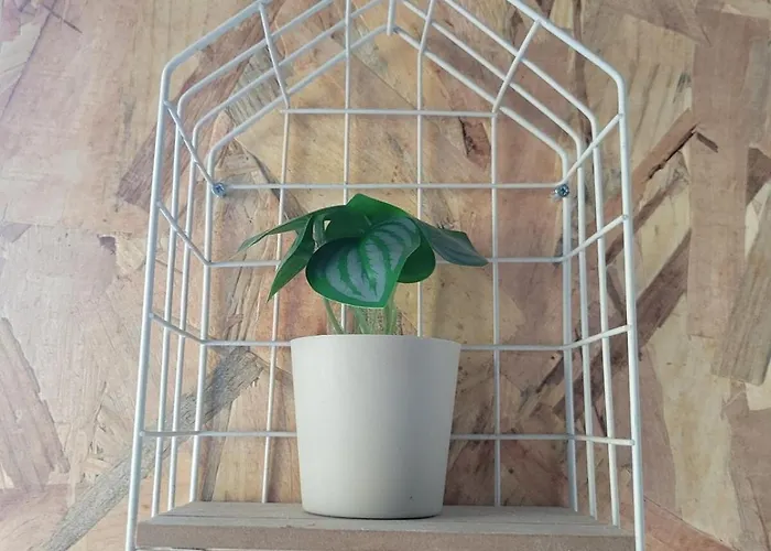 Le Plein Centre Rez De Chaussee Au Coeur De